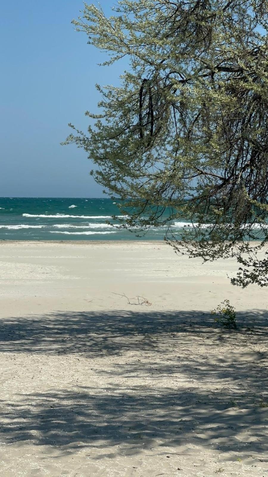 Sea View Luxury Apartament Năvodari Εξωτερικό φωτογραφία